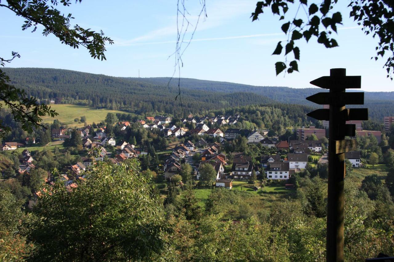 Villa Kurpark Domizil Altenau  Exterior foto
