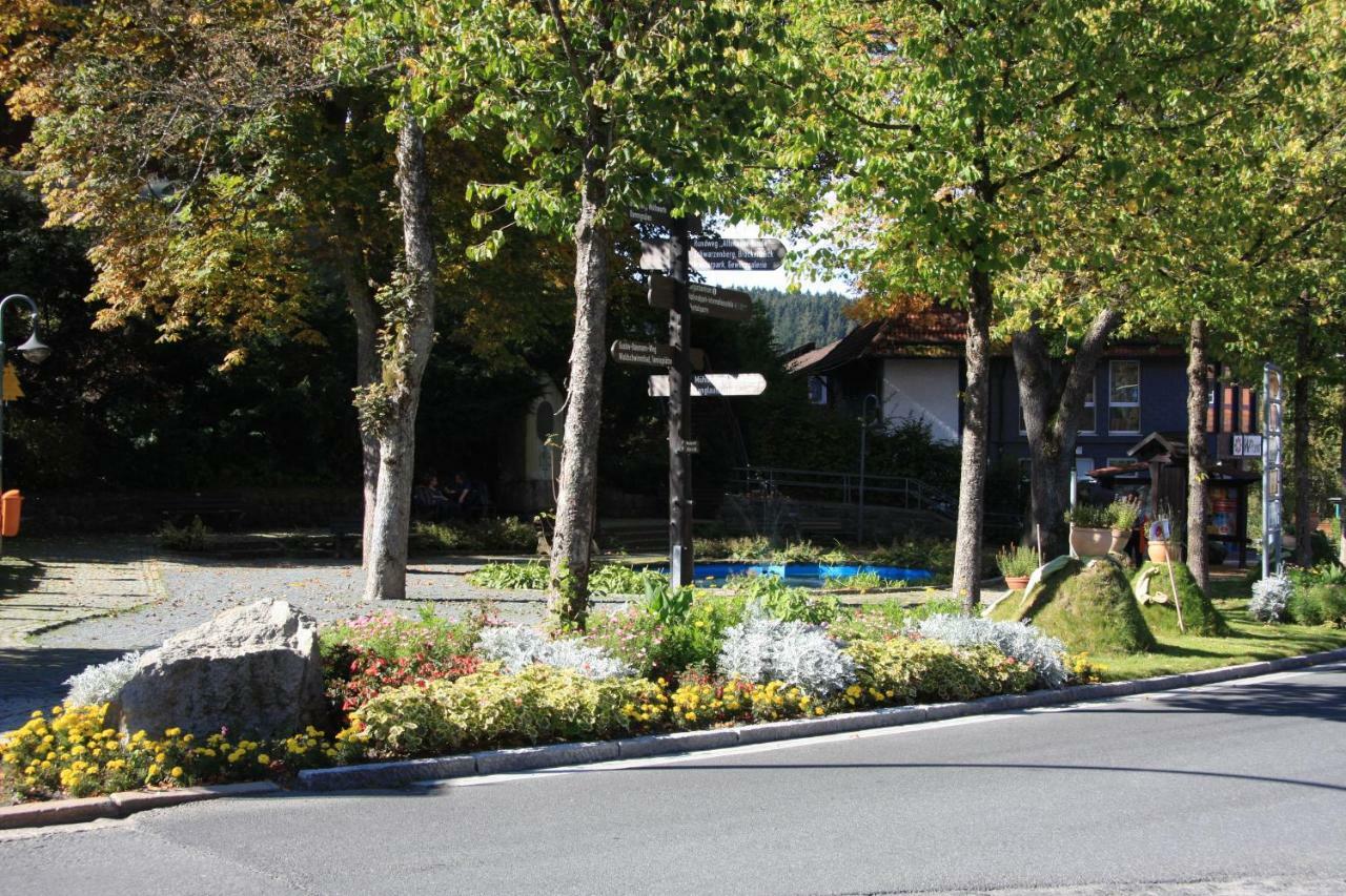Villa Kurpark Domizil Altenau  Exterior foto