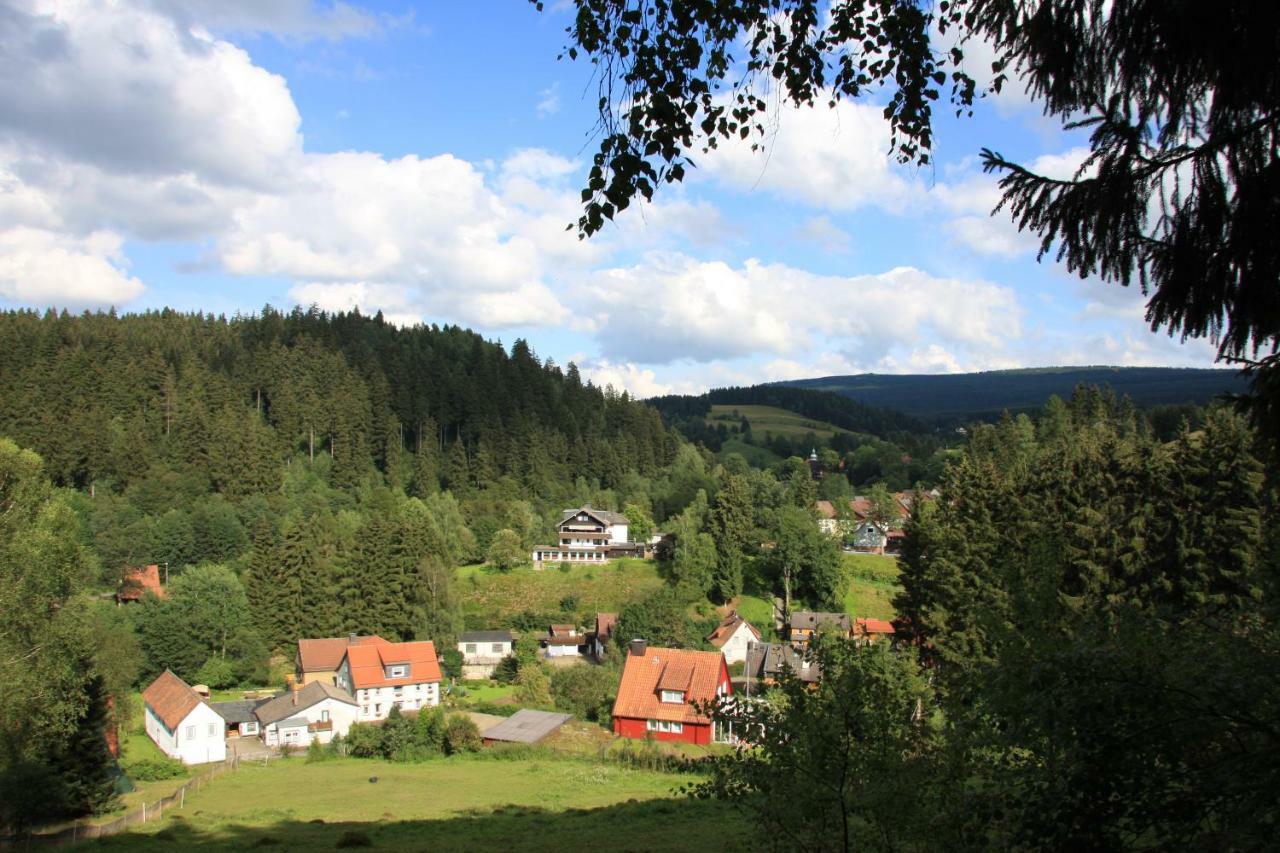 Villa Kurpark Domizil Altenau  Exterior foto